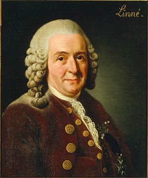[Carolus+Linnaeus+1707-1778.jpg]