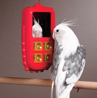 [bird cell phone.jpg]