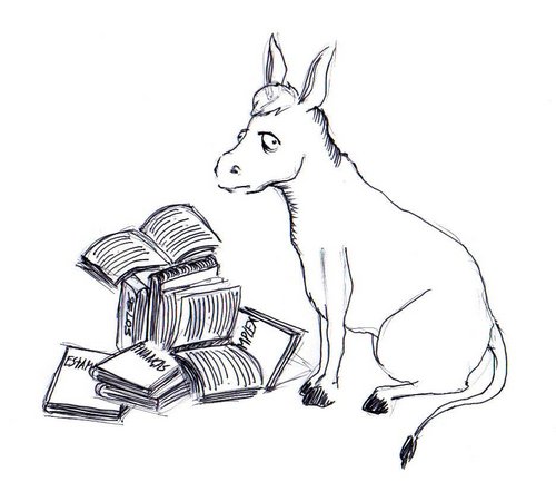 [burro com livros.jpg]