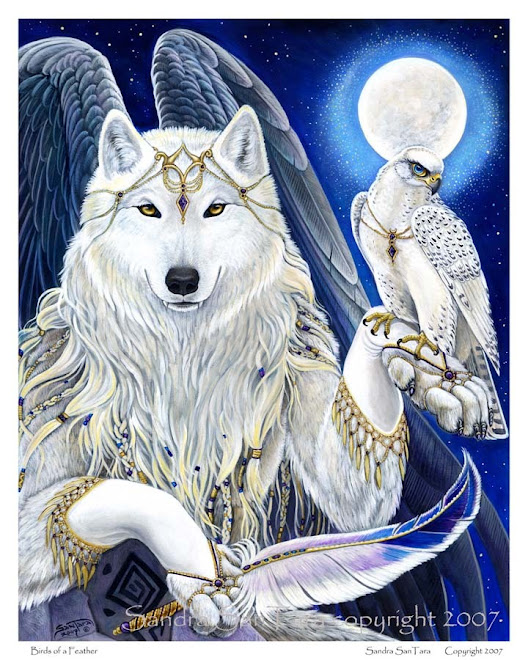 white wolf and white hawk