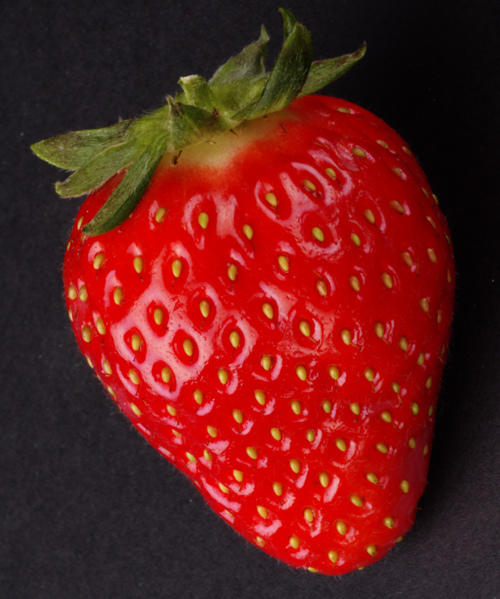 [AVA+Strawberry+11.jpg]