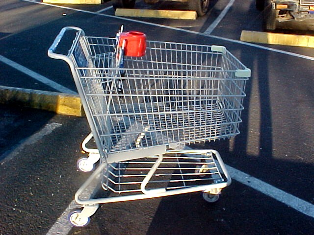 [Shopping+Cart.jpg]