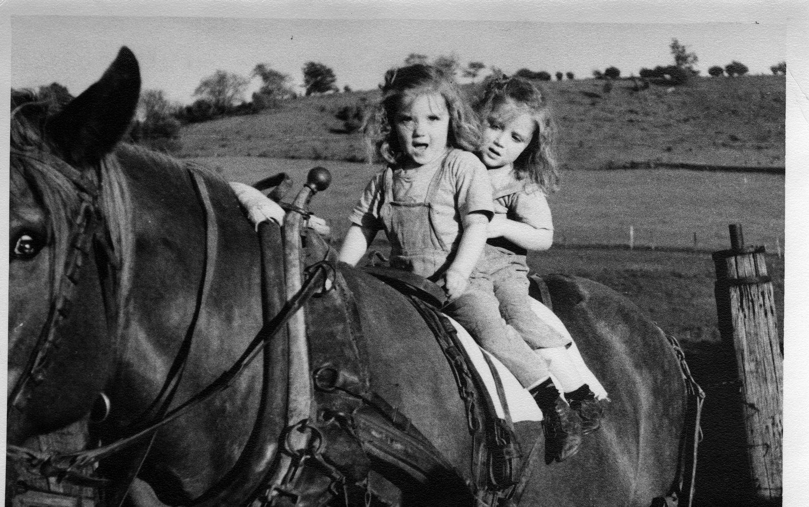 [Sylvia+&+Sonya+on+a+horse.jpg]