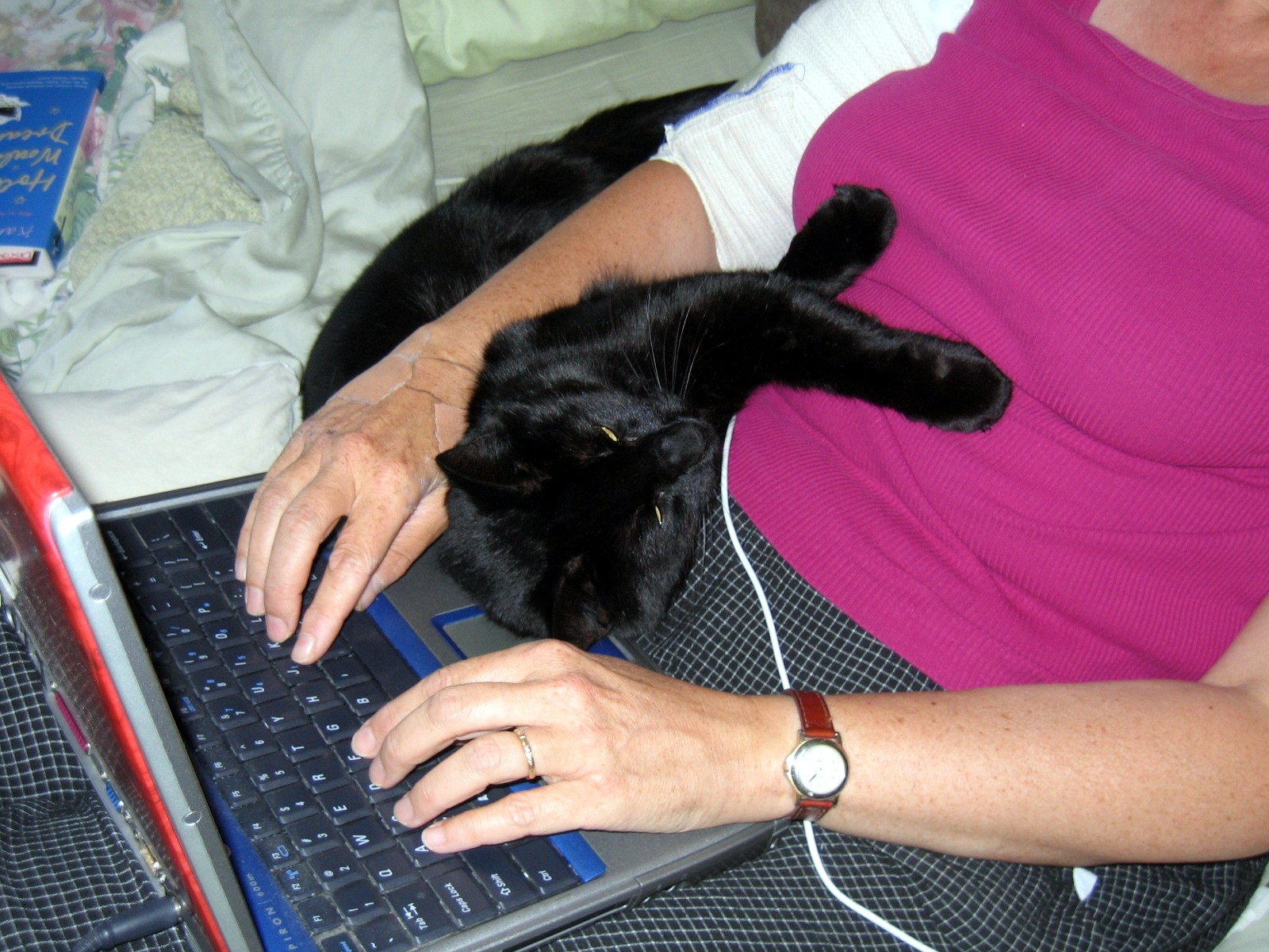 [Cat+&+laptop,+Max+&+Bella+6-20-08.JPG]