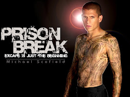 Prison Break 1-3