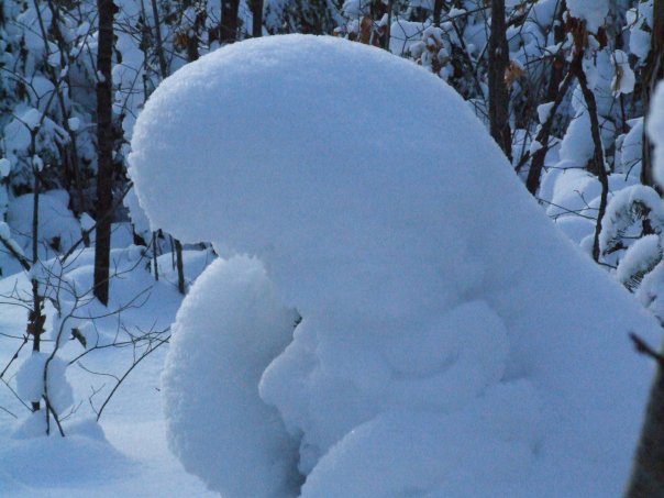 [snowwoman.jpg]