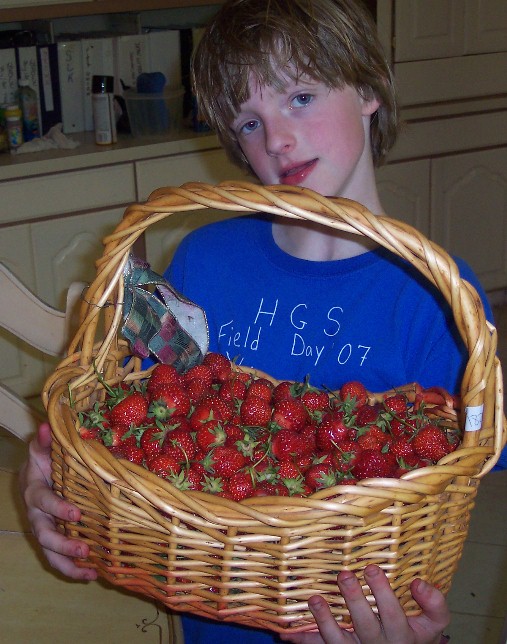 [strawberries+3.JPG]