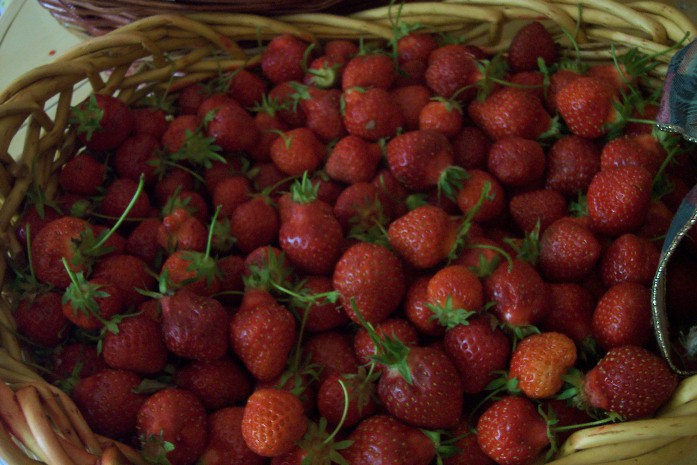 [strawberries+4.JPG]