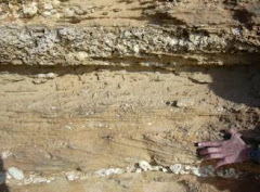 Rocas sedimentarias detriticas