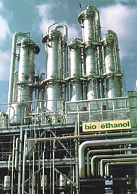 [biomasa,bioetanol.jpg]
