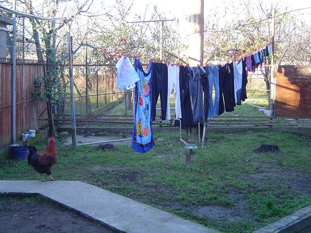 [laundry.JPG]