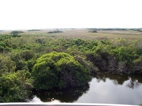 [Everglades,+USA.jpg]