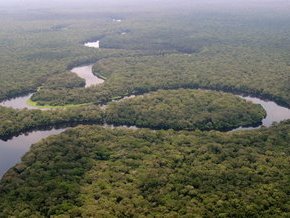 [Congo+Basin+Forest.jpg]