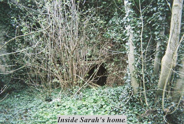 [Inside+Sarah's+home.jpg]