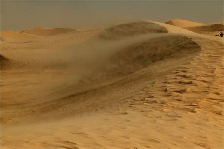[sandstorm-sahara-desert[1].jpg]