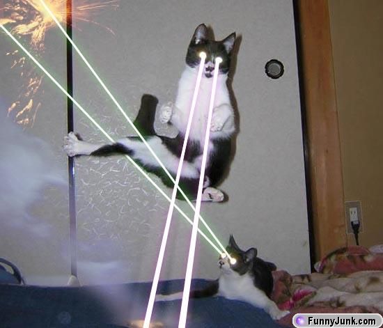 [laser-kitties.jpg]