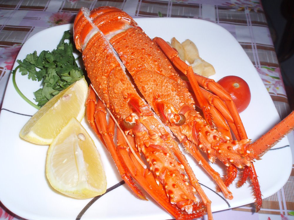 [Lobster2.jpg]