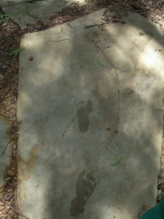 [egc+wet+footprints.jpg]