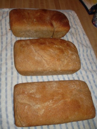 [bread+3+loaves.jpg]