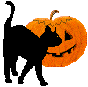 [cat_pumpkin.gif]