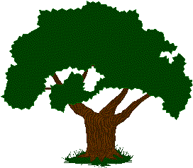 [tree+gif+optimized+with+transparency.gif]