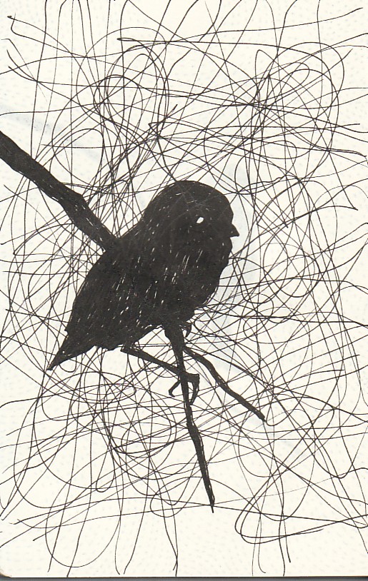 [bird+tangle.jpg]