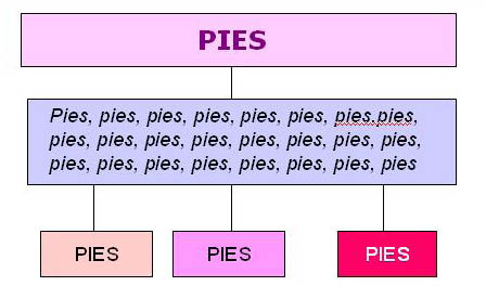 [pies_edited.jpg]