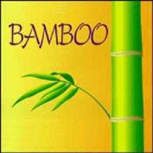 BAMBOO! Everyone gets it, and Everyone deserves it!