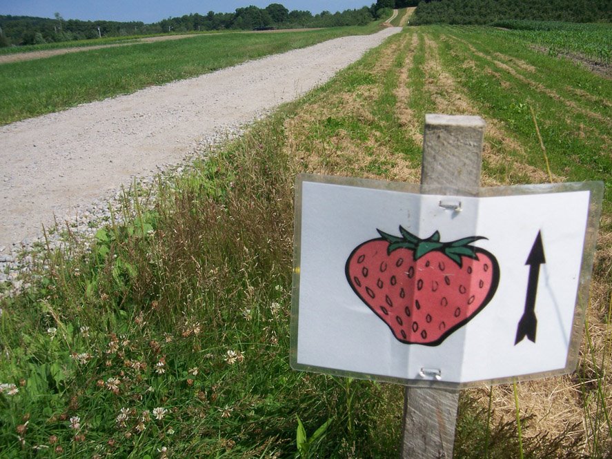 [strawberry+sign.jpg]