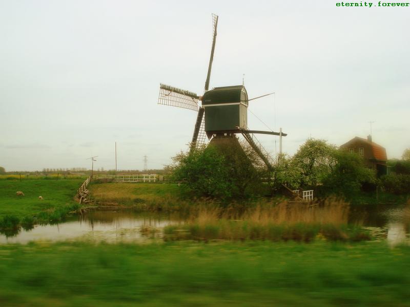 [Windmill.JPG]