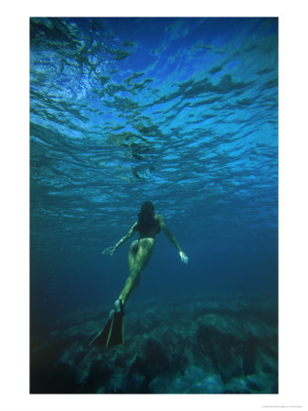 [325187~Female-Diver-Posters.jpg]