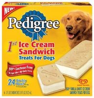 [puppy+ice+cream.jpg]