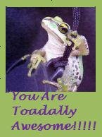 [toadally+awesome.jpg]