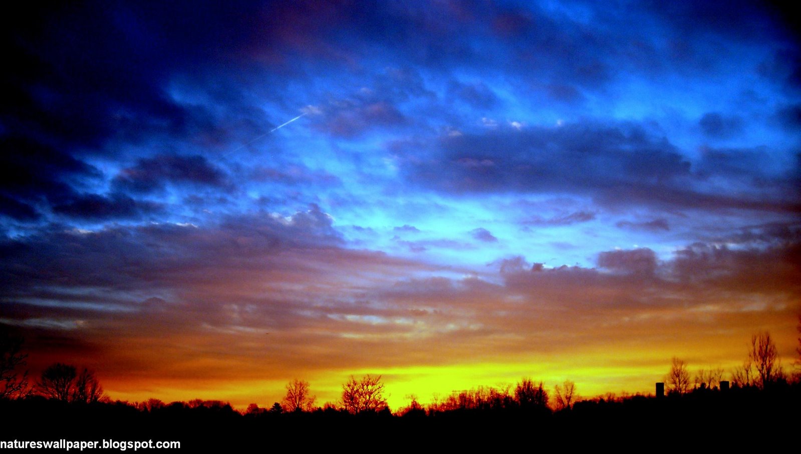 [Blue+And+Yellow+Sunrise.jpg]