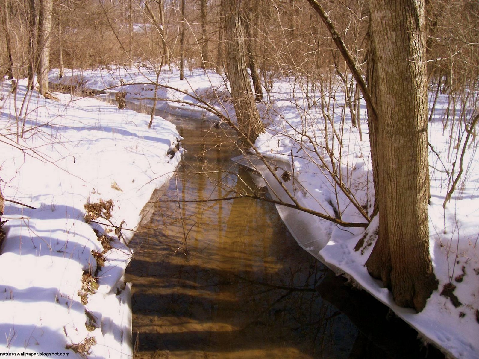 [River+Creek+In+Winter+Time.jpg]