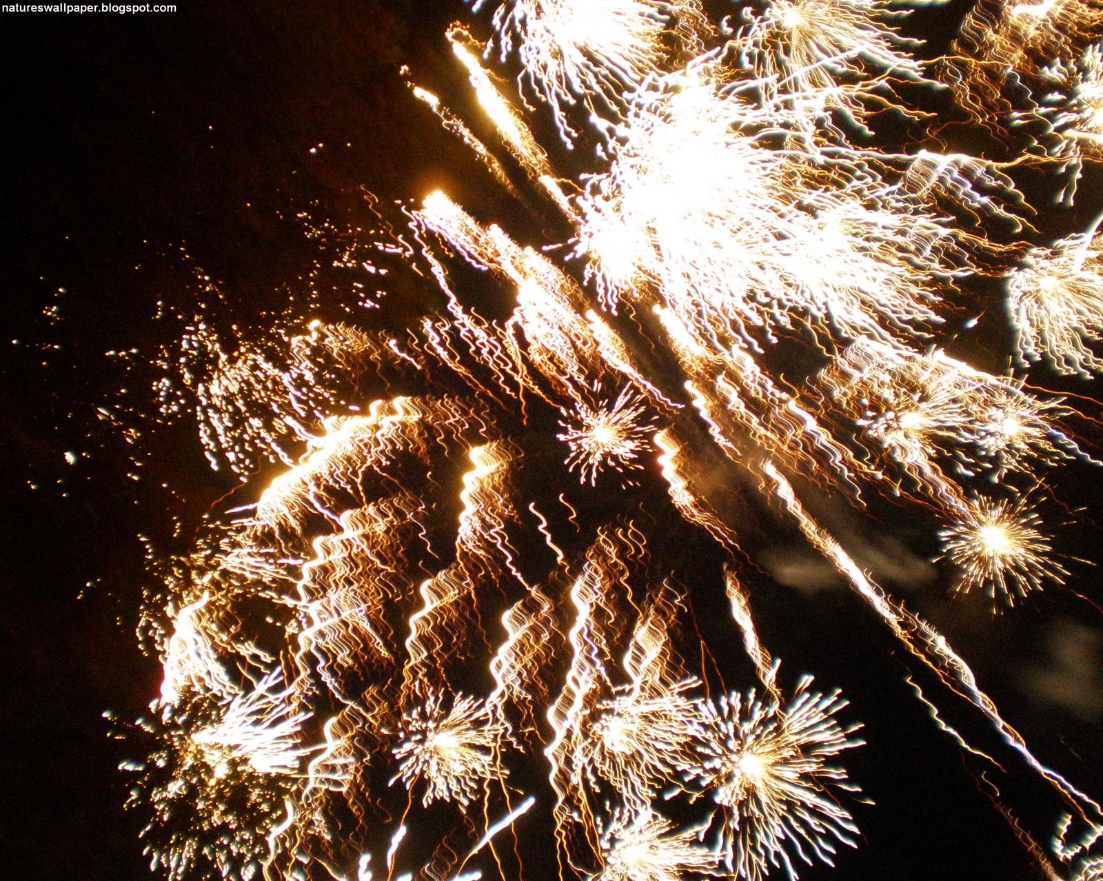 [Grand+finale+fireworks.jpg]