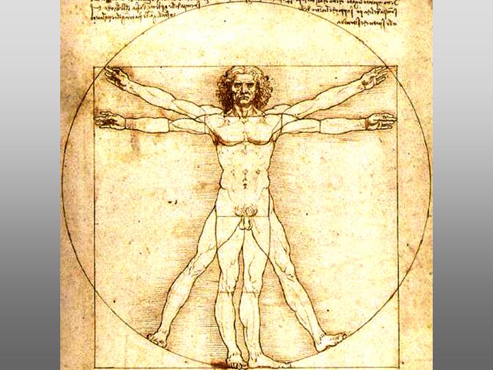 [Pillar8-Thought-and-Art-Vitruvian-Man-Leonardo-da-Vinci.jpg]