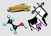 [corn+ethanol+cow.png]