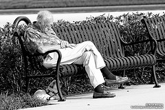 [old+man+on+bench.jpg]