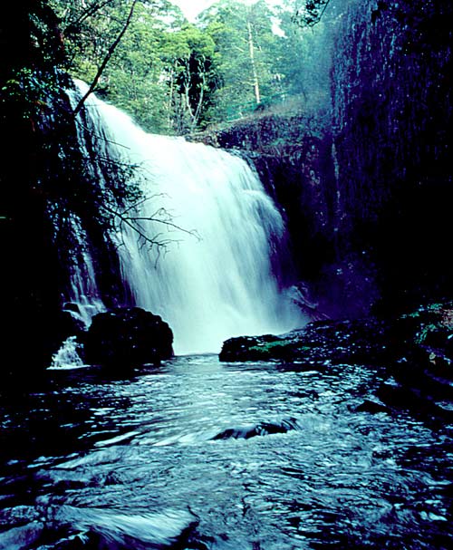 [waterfall_large.jpg]