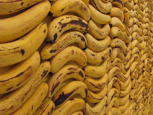 [Cambures+bananos.jpg]