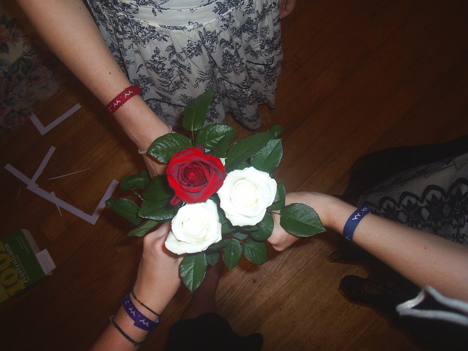 [Roses+on+Valentine]