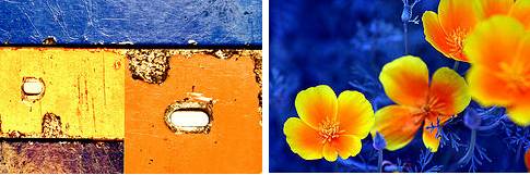 [blue+orange+yelloow+collage.jpg]