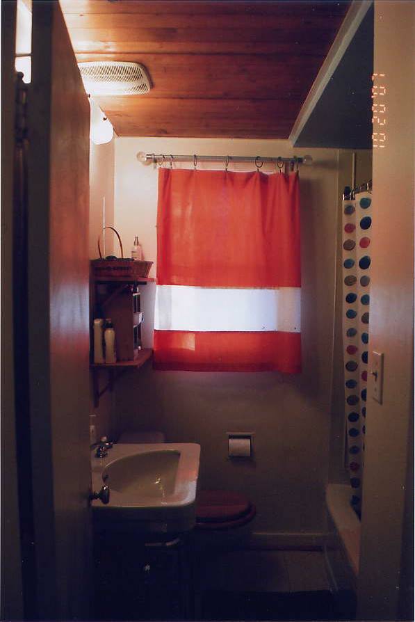 [bath+curtain.jpg]