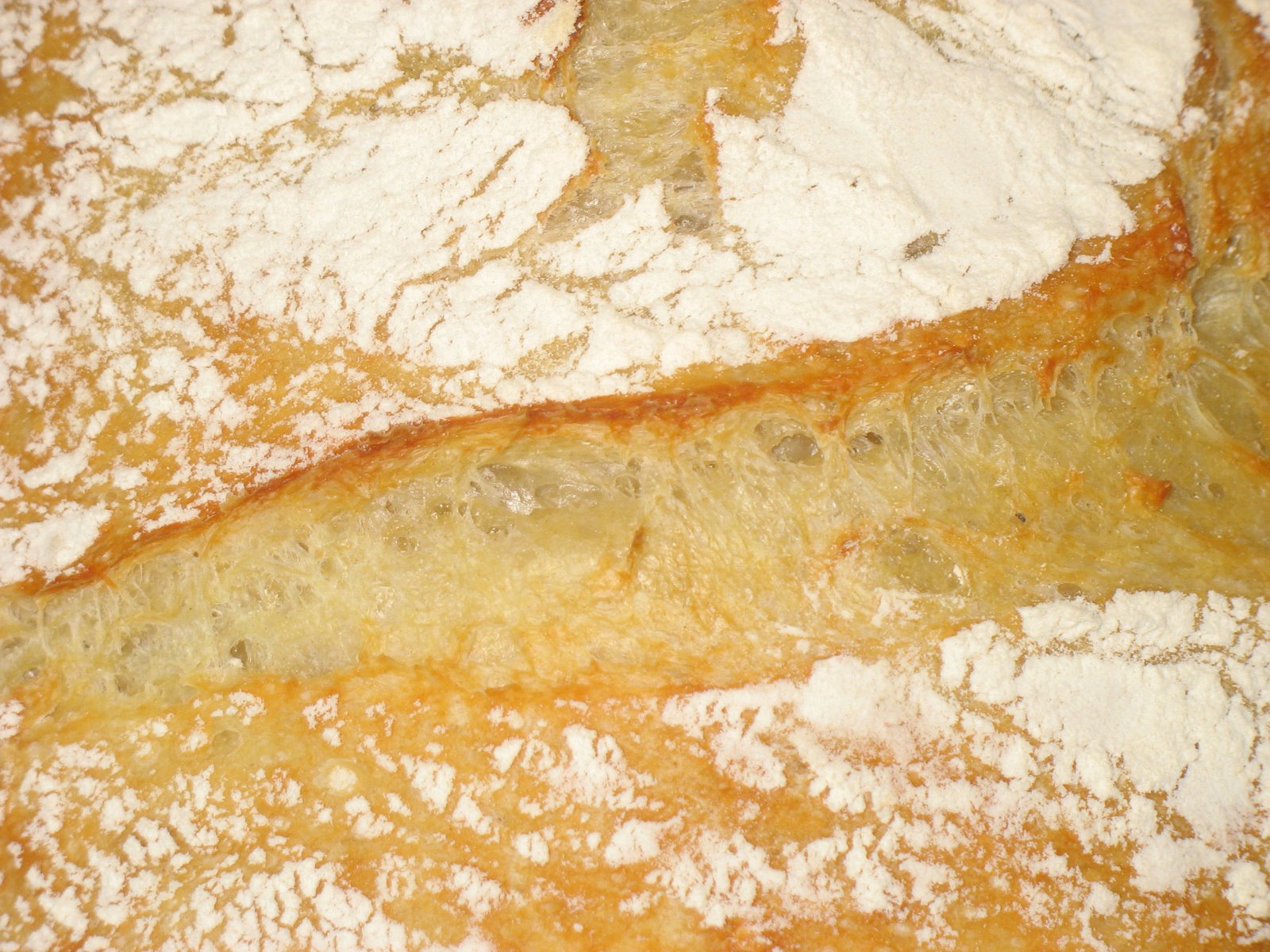 [Bread+-+close+up.jpg]