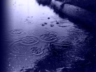 [raindrops.jpg]