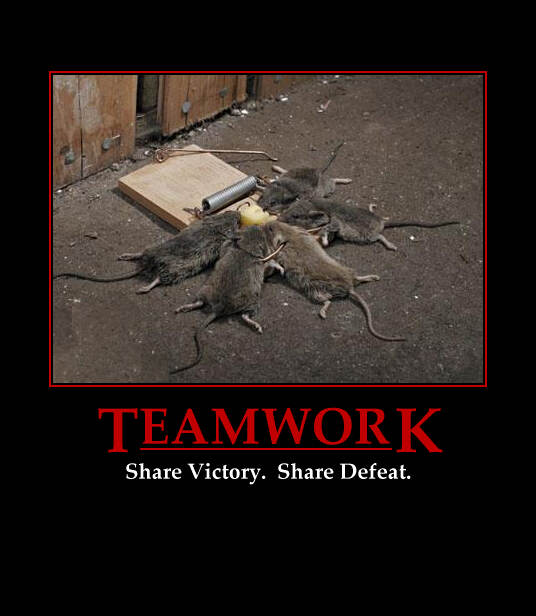 [Teamwork.jpg]