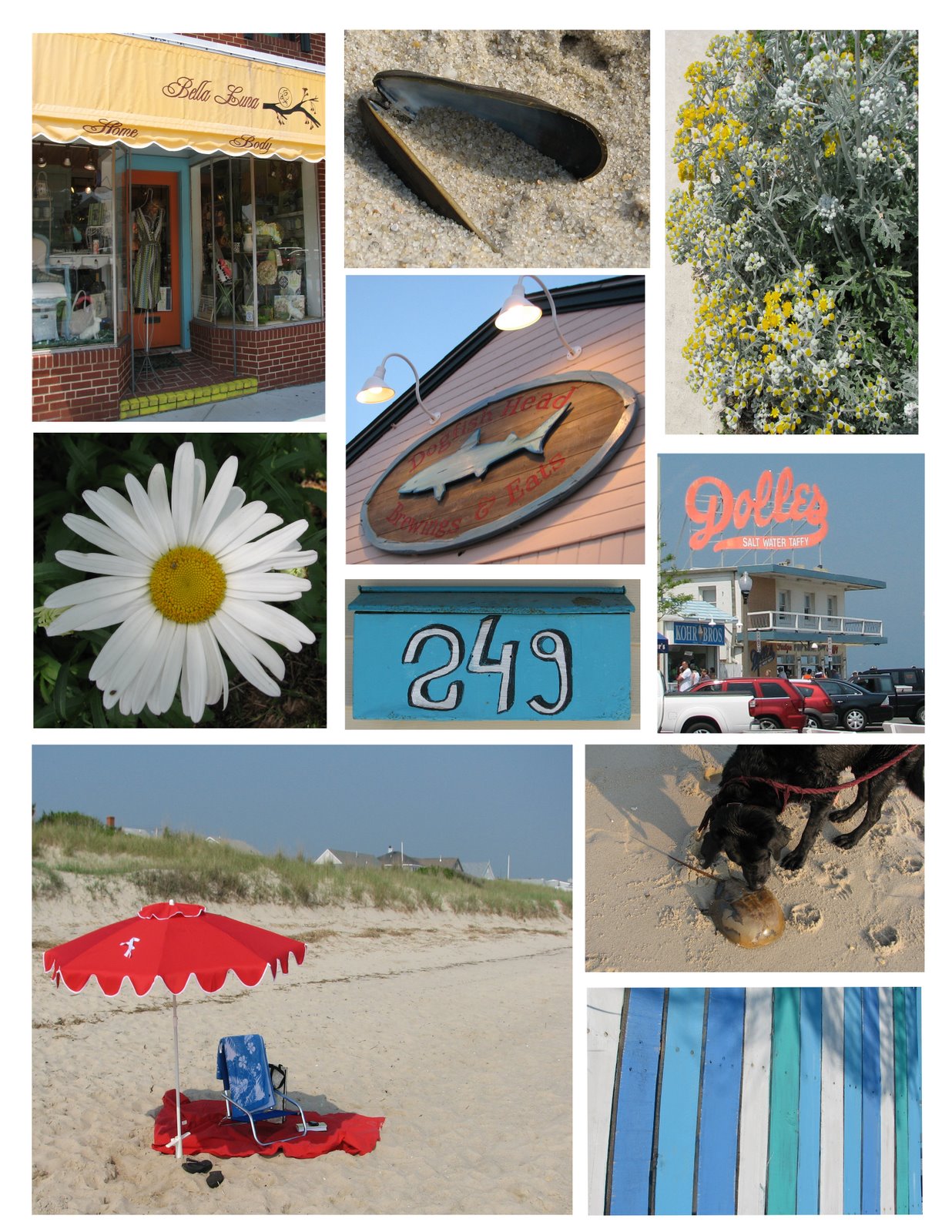 [beach+collage+for+blog_edited-1.jpg]