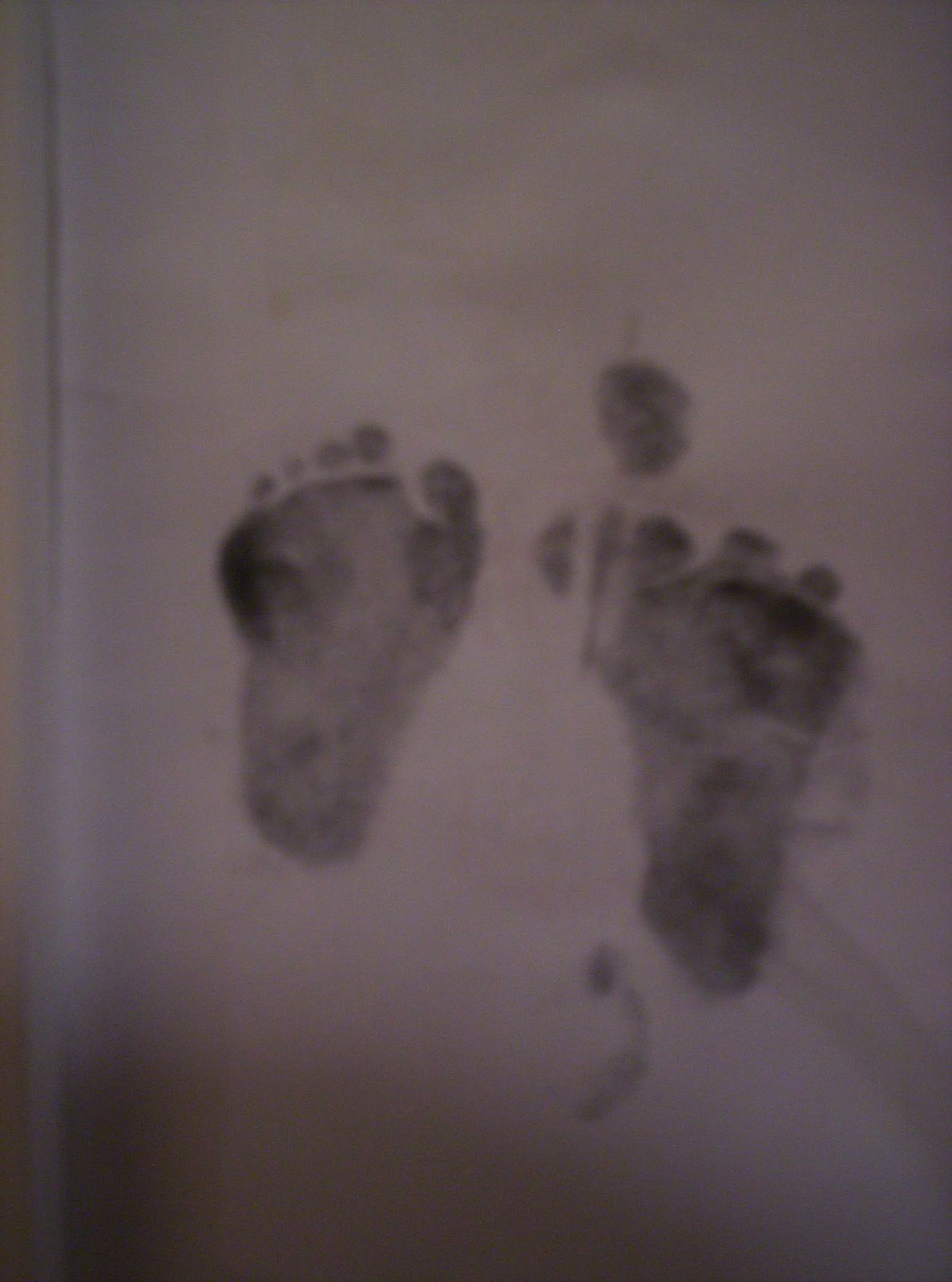 [Emis+Footprints+002.jpg]