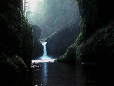 [forest_waterfall2.jpg]